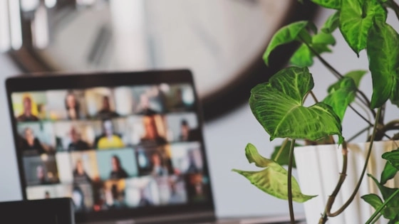 black flat screen tv turned on near green plant